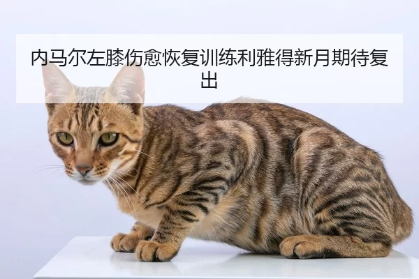 内马尔左膝伤愈恢复训练利雅得新月期待复出